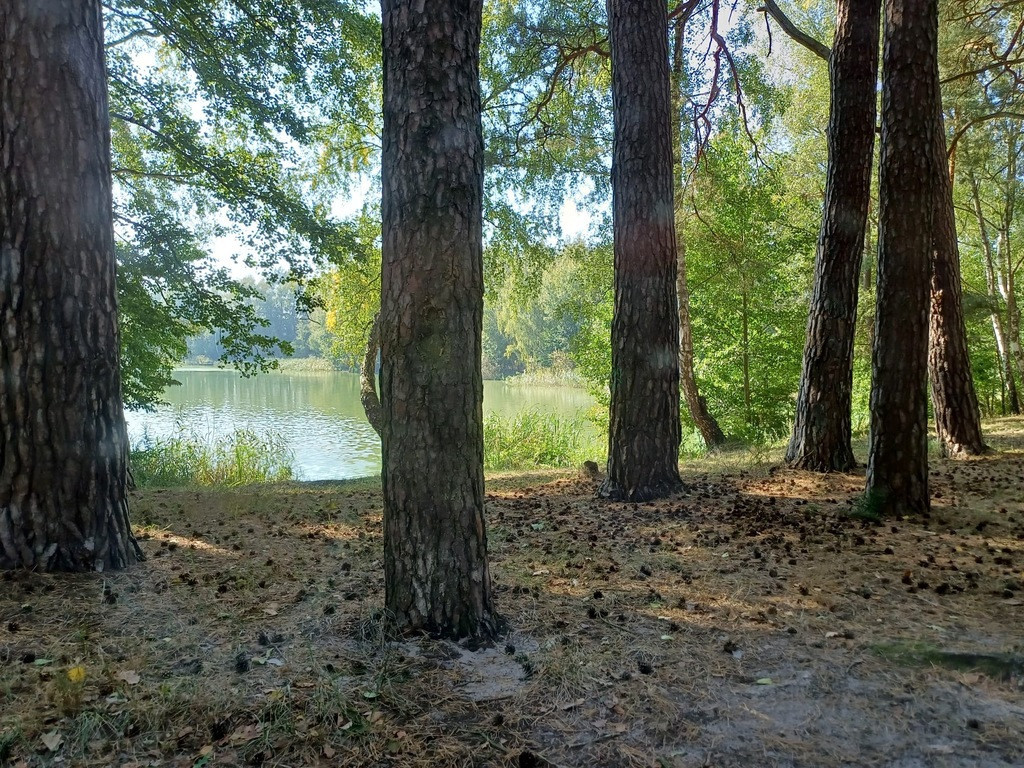 Działka Sprzedaż Bartoszewo