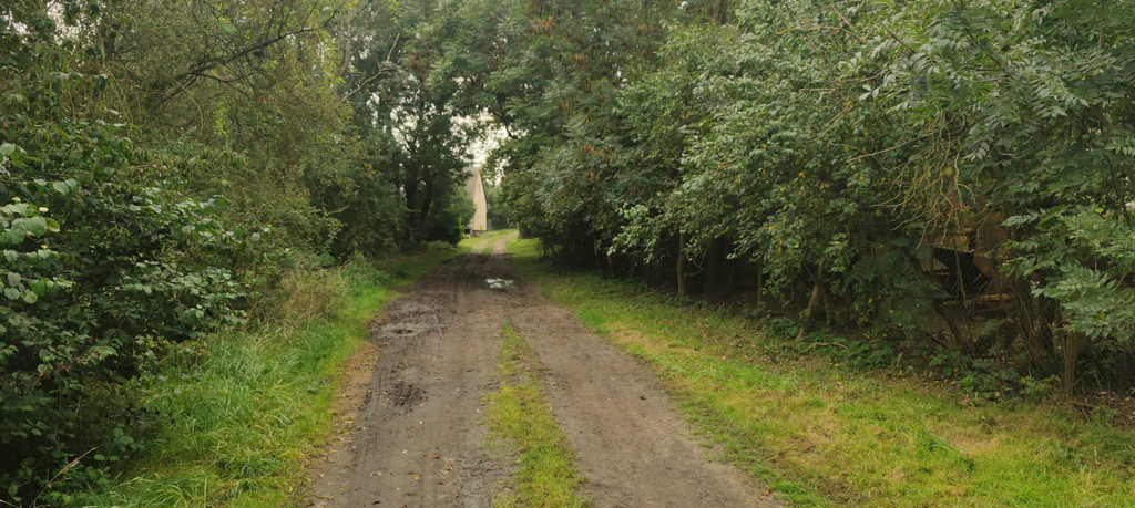 Działka Sprzedaż Barnisław