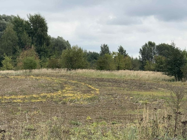 Działka Sprzedaż Stara Dąbrowa