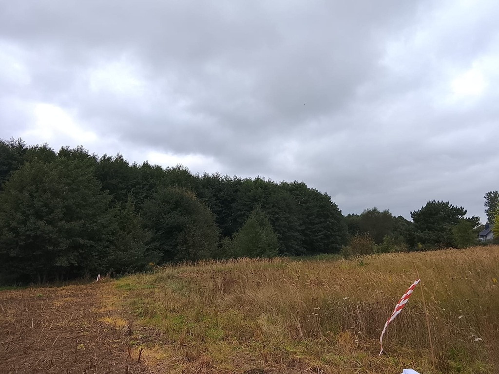 Działka Sprzedaż Stara Dąbrowa