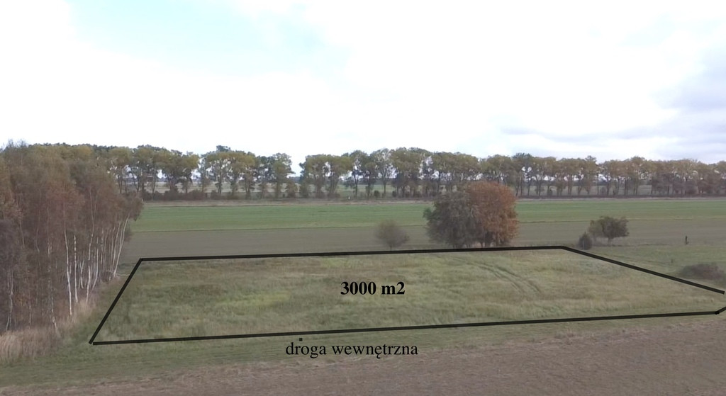 Działka Sprzedaż Chrząstowo