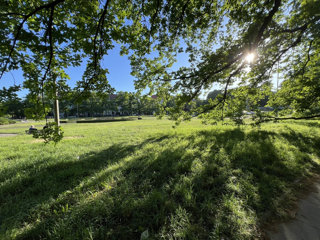 Mieszkanie Sprzedaż Szczecin Centrum Szczerbcowa