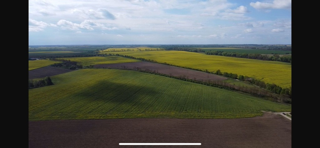 Działka Sprzedaż Pyrzyce
