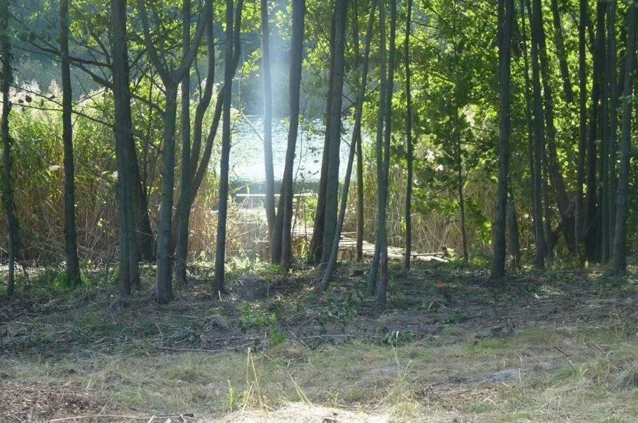 Działka Sprzedaż Zieleniewo