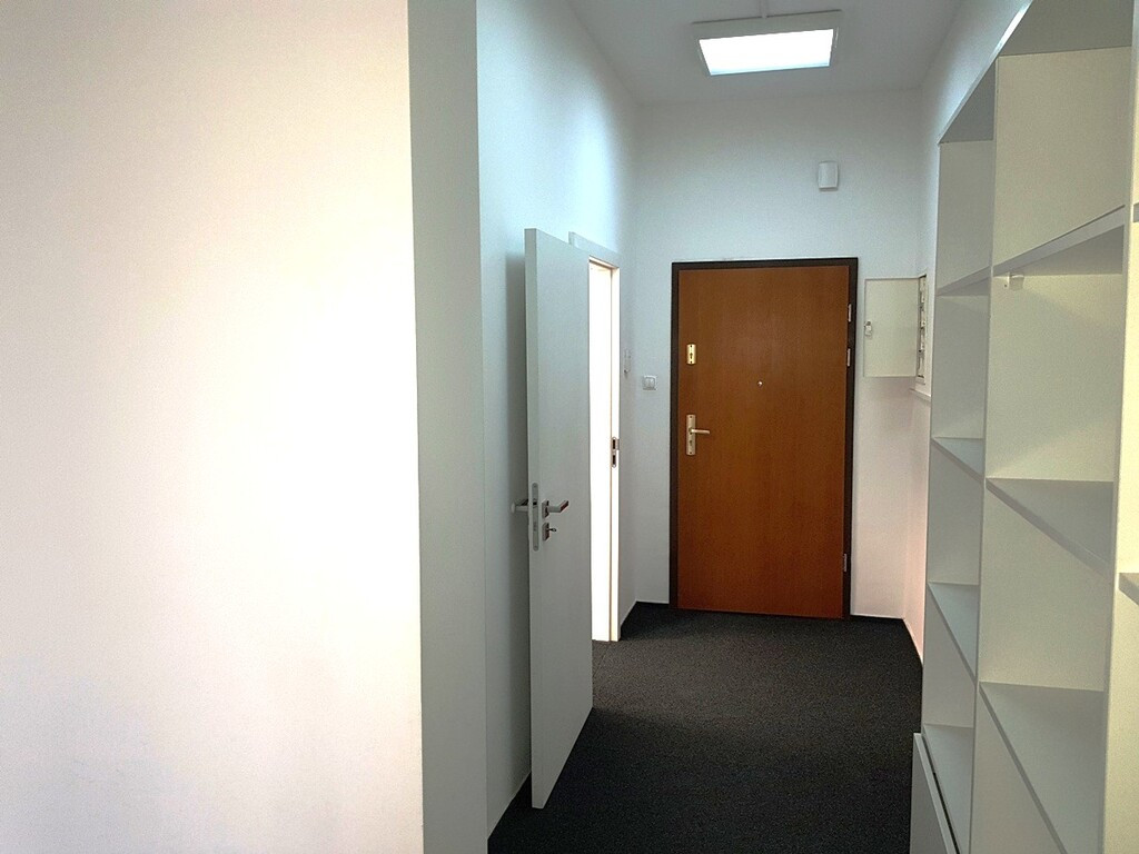 Lokal Wynajem Szczecin Centrum