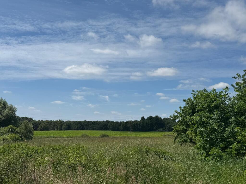 Działka Sprzedaż Krasnołęka