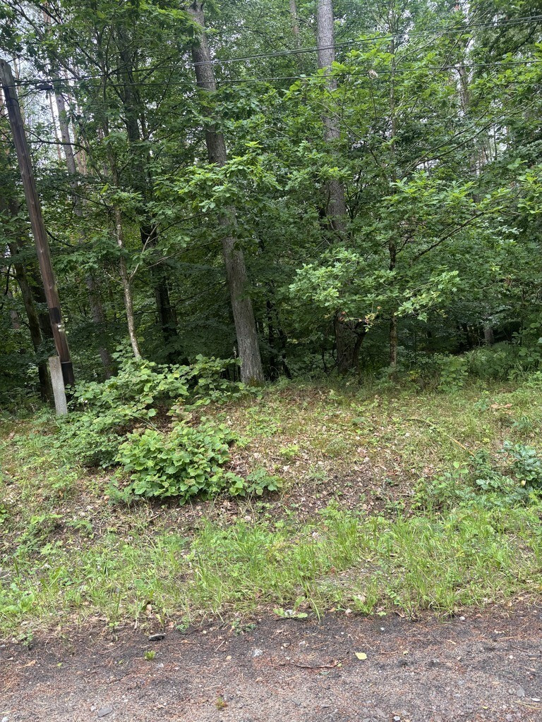 Działka Sprzedaż Piaseczno