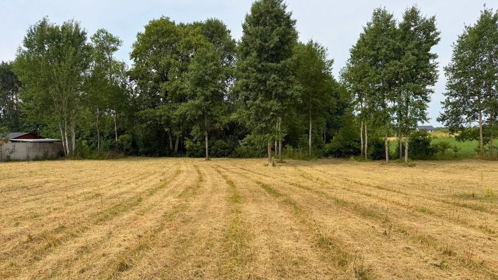 Działka Sprzedaż Marszewo