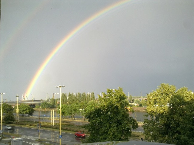 Lokal Wynajem Szczecin Wały Chrobrego