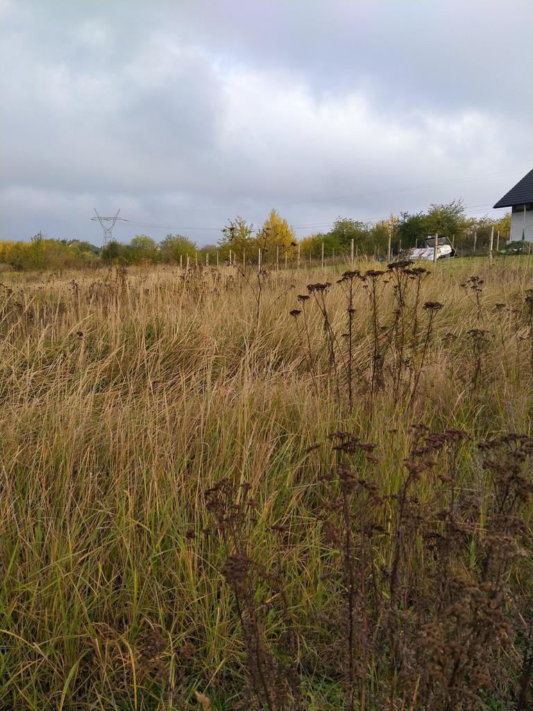 Działka Sprzedaż Mierzyn