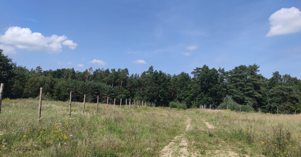 Działka Sprzedaż Kościno
