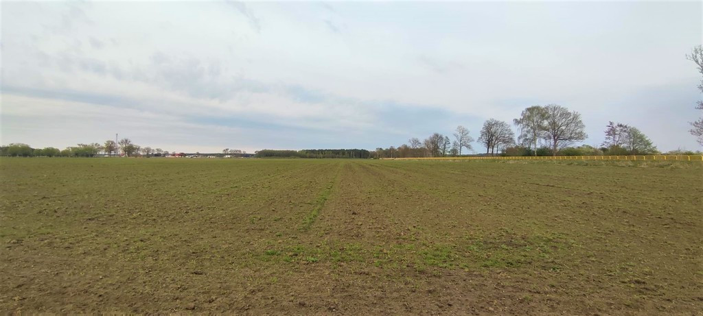 Działka Sprzedaż Lubczyna