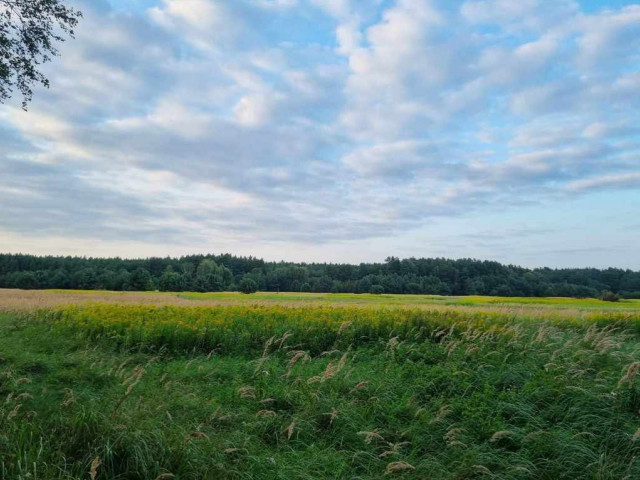 Działka Sprzedaż Szczecin Wielgowo Żywiczna