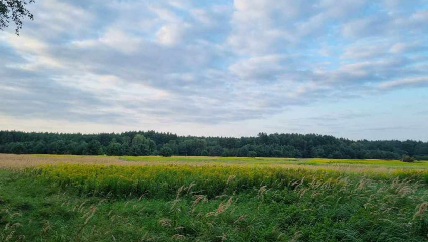 Działka Sprzedaż Szczecin Wielgowo Żywiczna