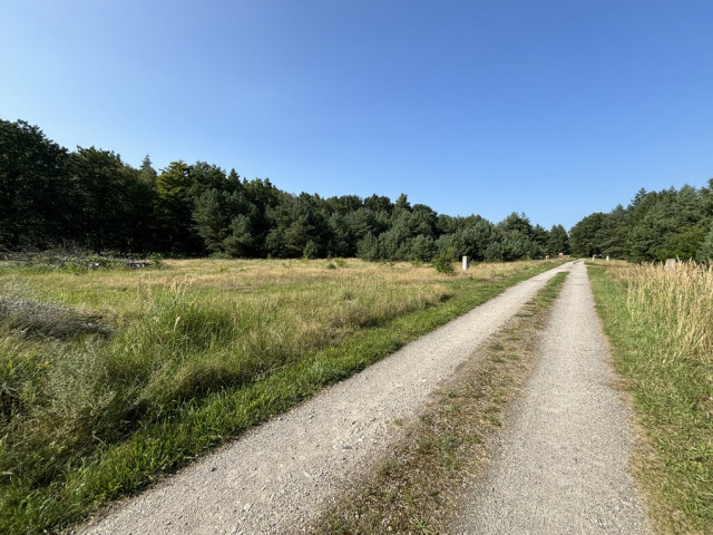 Działka Sprzedaż Brzózki