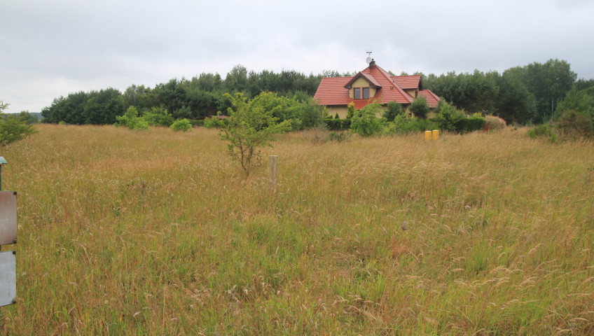 Działka Sprzedaż Charzyno