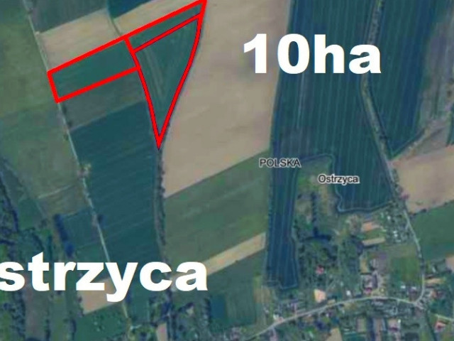 Działka Sprzedaż Ostrzyca