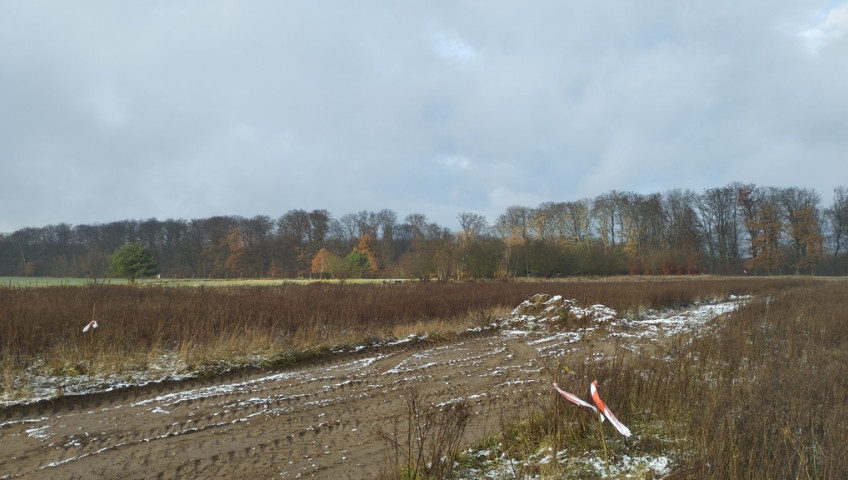 Działka Sprzedaż Dobropole Gryfińskie