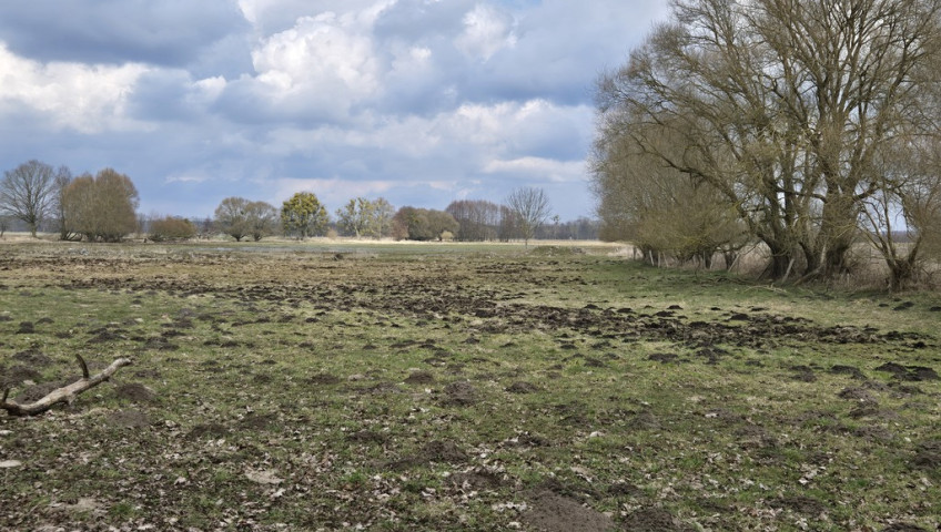 Działka Sprzedaż Rzędziny