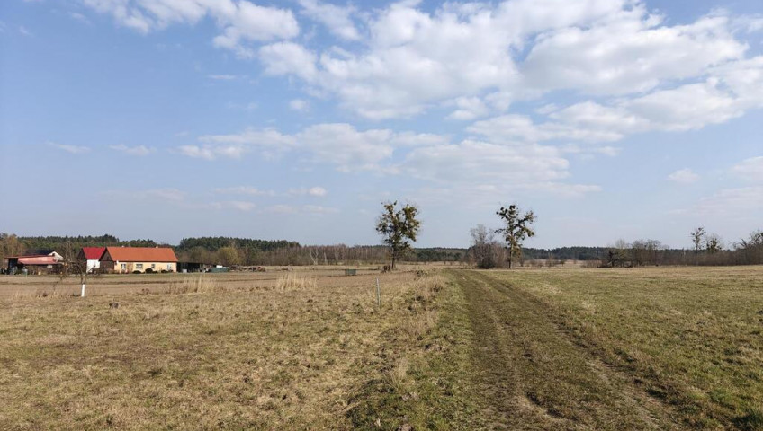 Działka Sprzedaż Żarnowo