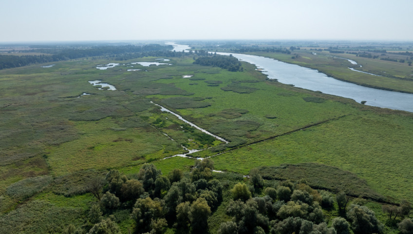 Działka Sprzedaż Stary Błeszyn