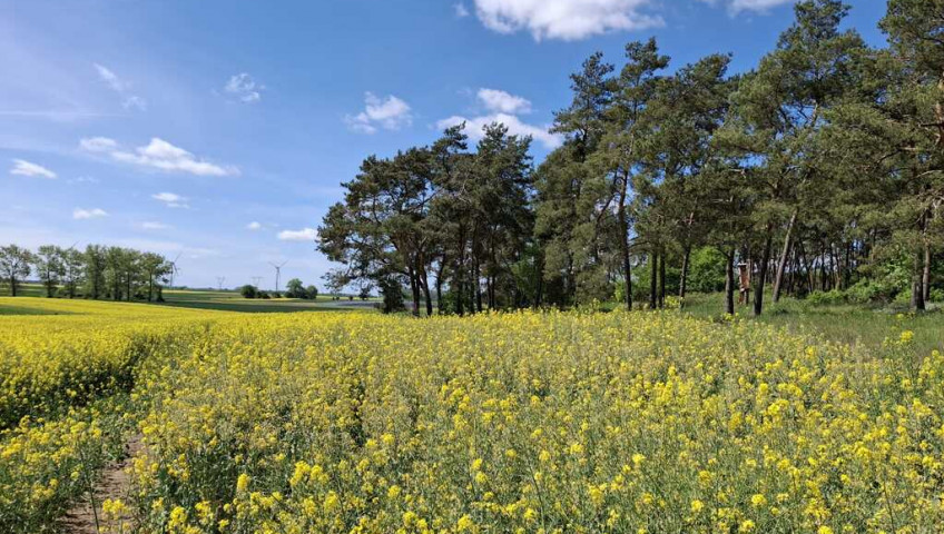 Działka Sprzedaż Parsów