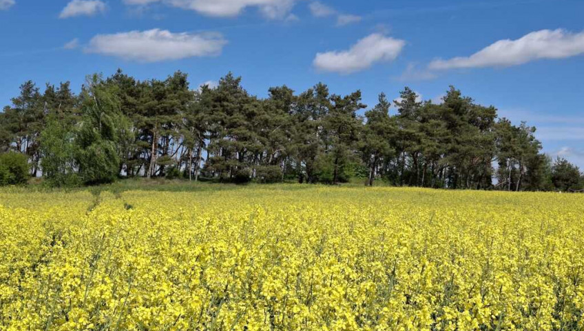 Działka Sprzedaż Parsów