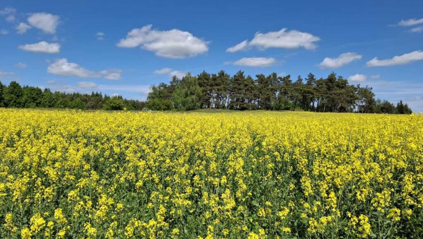 Działka Sprzedaż Parsów
