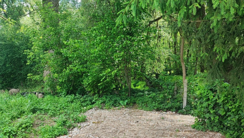 Działka Sprzedaż Żarowo