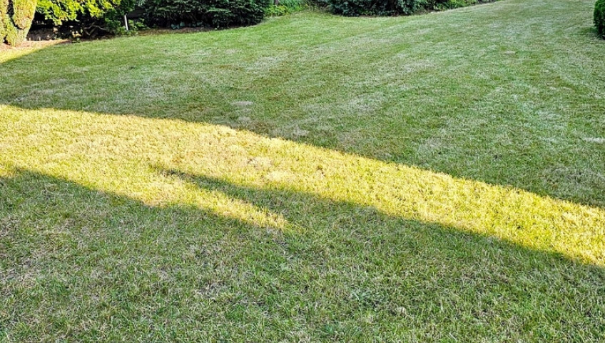Dom Sprzedaż Szczecin Warszewo
