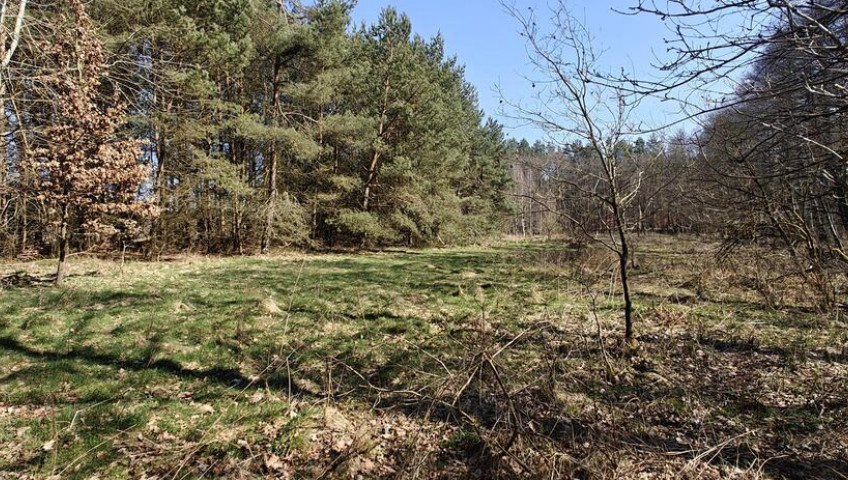 Działka Sprzedaż Nowogard