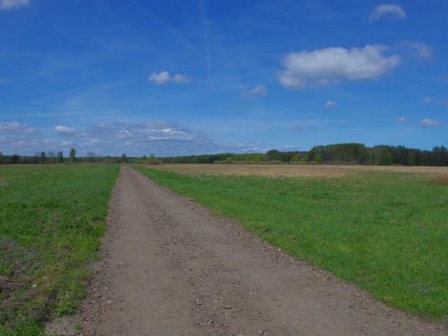 Działka Sprzedaż Niedźwiedź