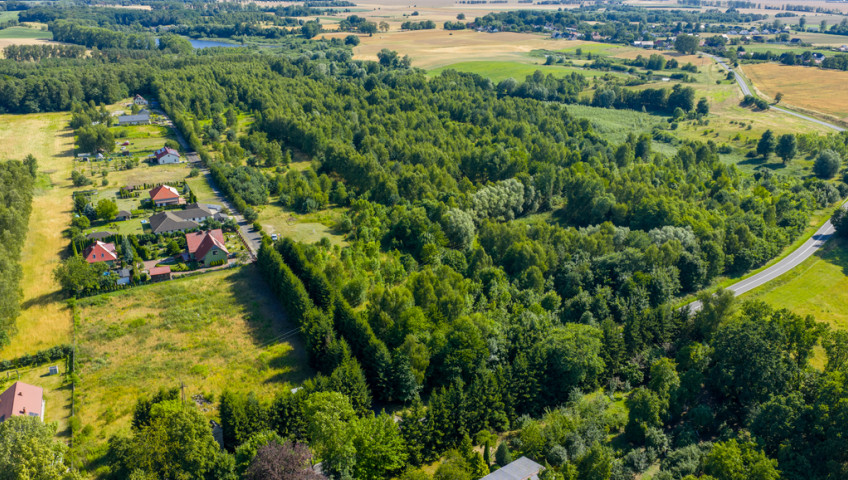 Działka Sprzedaż Grabowo