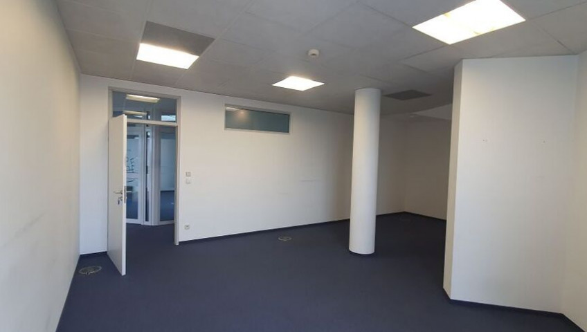 Lokal Wynajem Szczecin Centrum