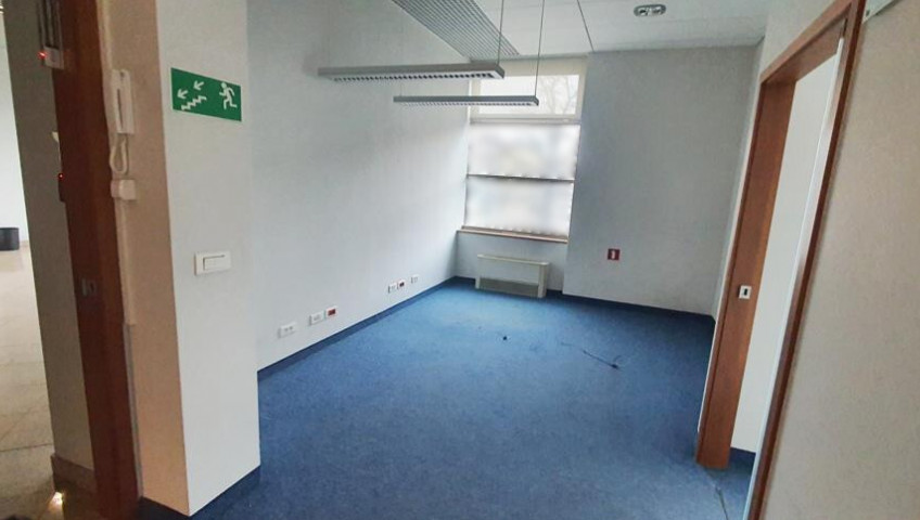 Lokal Wynajem Szczecin Śródmieście-Centrum