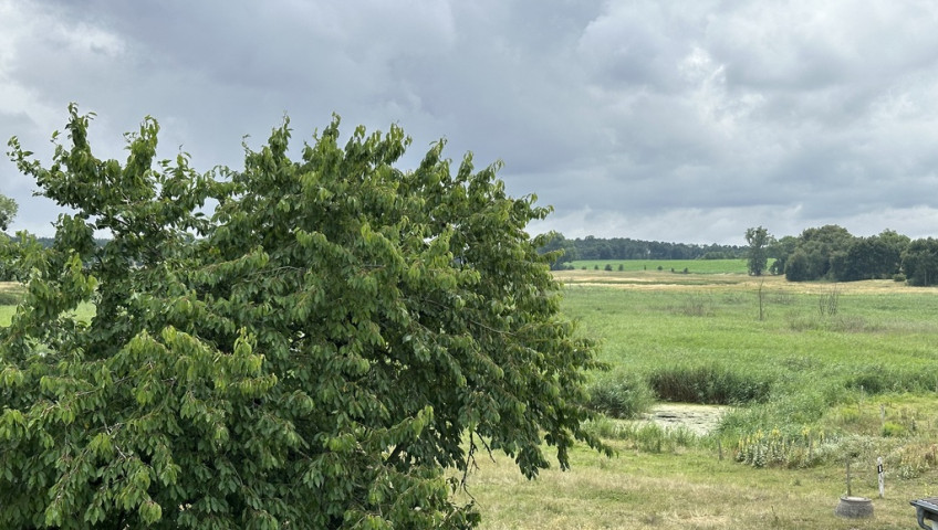 Dom Sprzedaż Bismark Am Sportplatz 