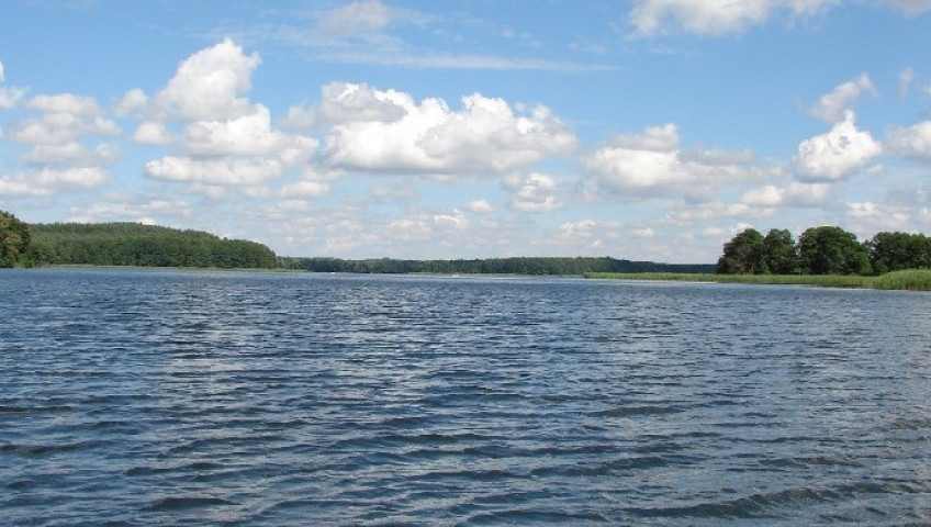 Działka Sprzedaż Dąbrowica