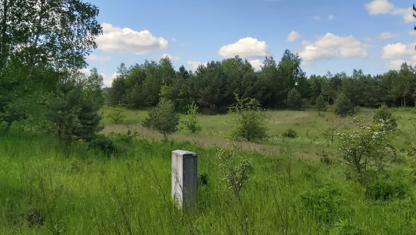 Działka Sprzedaż Dąbrowica