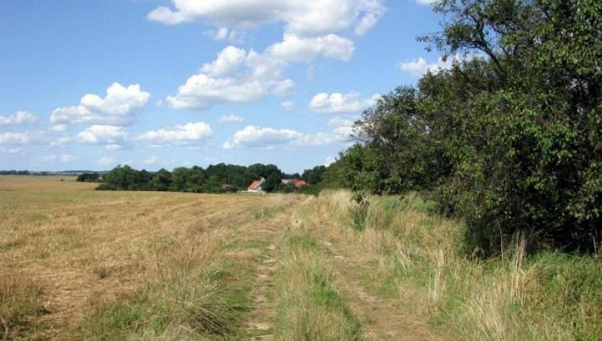 Działka Sprzedaż Barnisław
