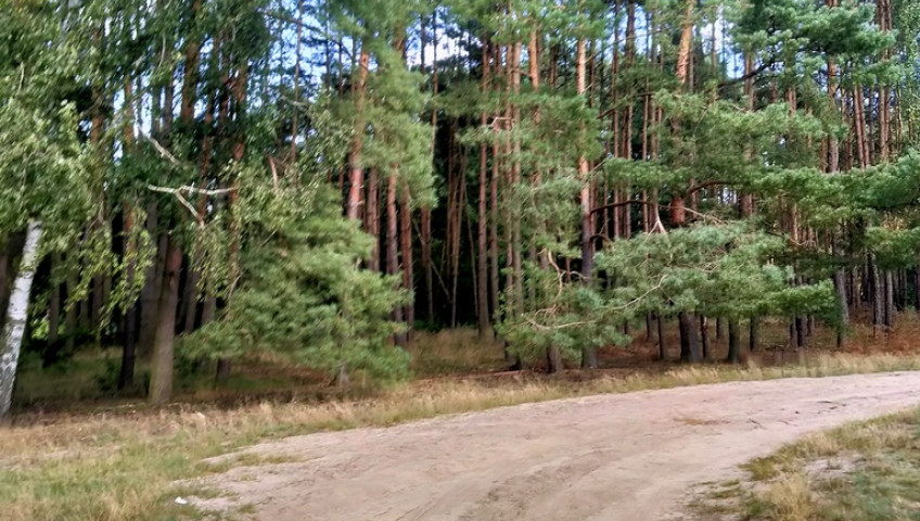 Działka Sprzedaż Tanowo Szczecińska