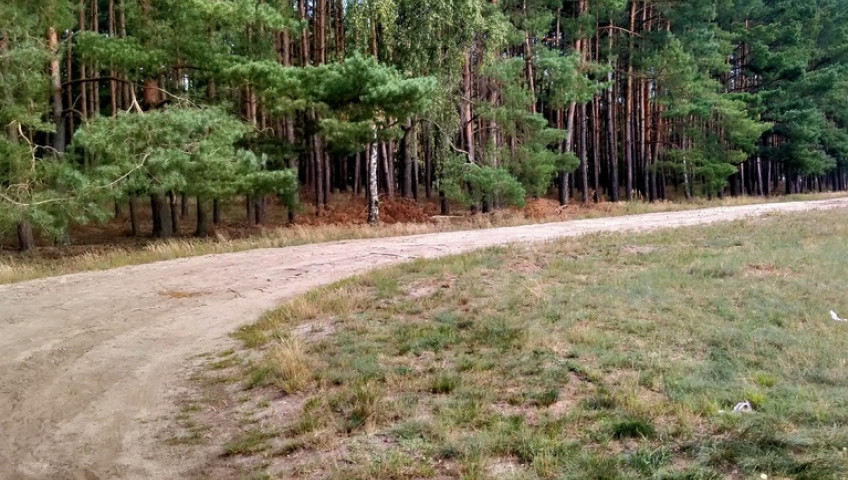 Działka Sprzedaż Tanowo Szczecińska