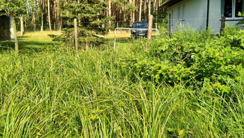 Działka Sprzedaż Tanowo Szczecińska