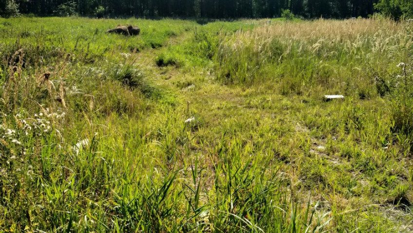 Działka Sprzedaż Wołczkowo