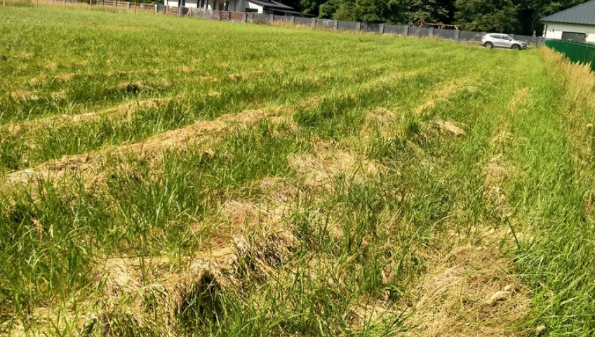 Działka Sprzedaż Grzepnica