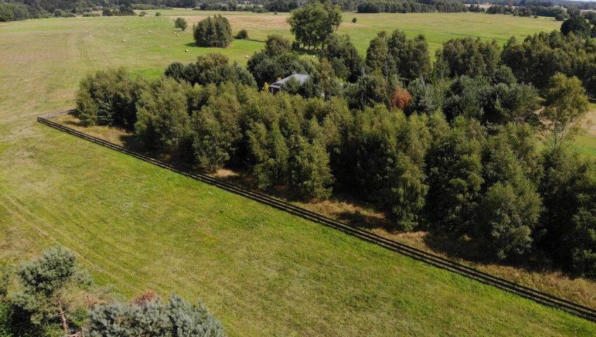 Działka Sprzedaż Dzisna