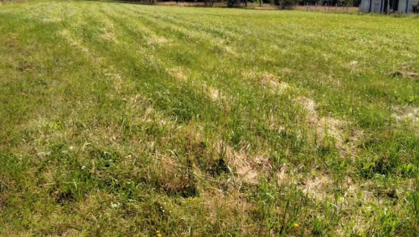 Działka Sprzedaż Grzepnica