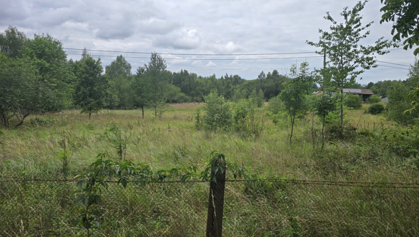Działka Sprzedaż Dobra Graniczna