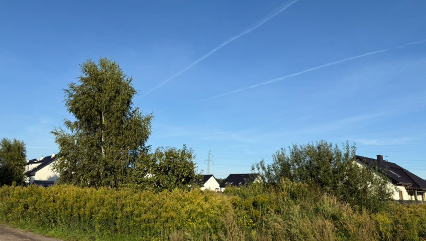 Działka Sprzedaż Załom