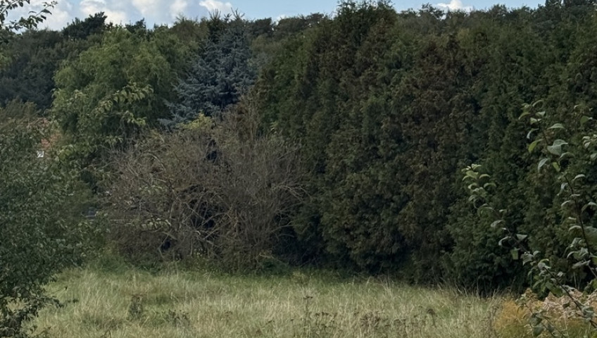 Działka Sprzedaż Szczecin Pilchowo