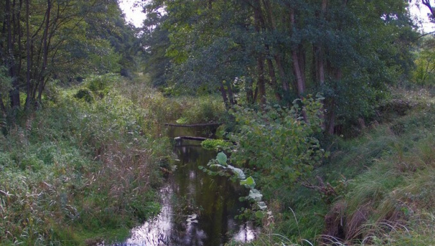 Działka Sprzedaż Jatki